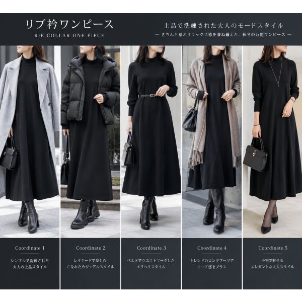 画像9: 吸光発熱ヒーテブスリブワンピース (9)